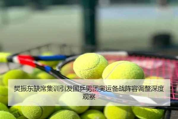 樊振东缺席集训引发国乒男团奥运备战阵容调整深度观察