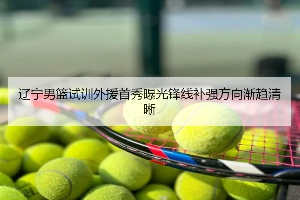 辽宁男篮试训外援首秀曝光锋线补强方向渐趋清晰