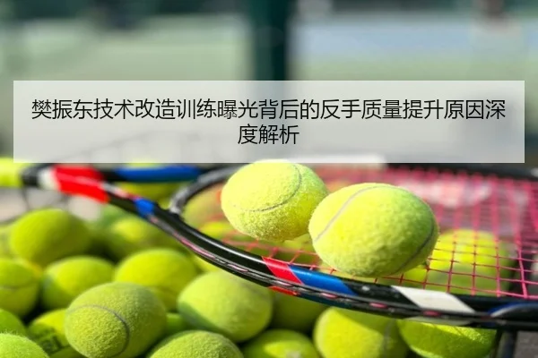 樊振东技术改造训练曝光背后的反手质量提升原因深度解析