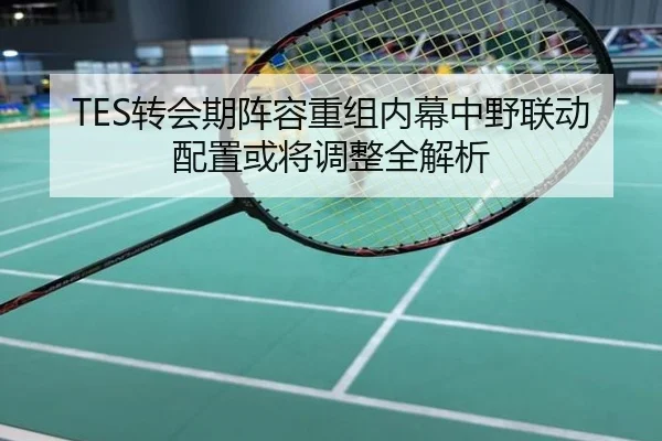 TES转会期阵容重组内幕中野联动配置或将调整全解析